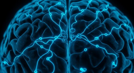 Neural Pathways: A Deep Blue Cerebral Visualization