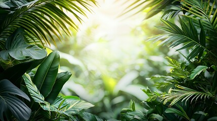 Lush Green Tropical Jungle with Sunlight