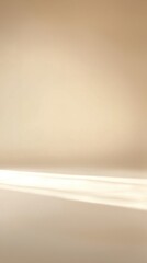 Soft Natural Light Over Smooth Neutral Surface for Creative Spaces