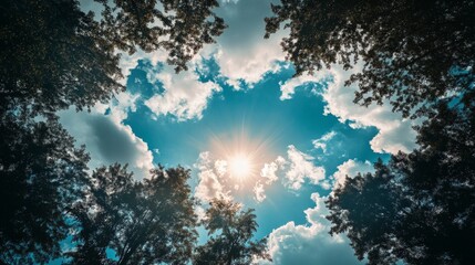 Fototapeta premium Sunlight peeking through trees and clouds in the sky. A perfect summer day.
