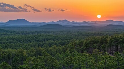 Obraz premium Serene Sunset Over Rolling Hills and Vast Forest