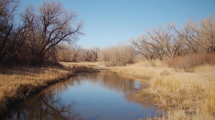 Serene Winter Creek Landscape Tranquil Water Bare Trees Golden Grass