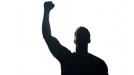 A silhouette of a person raising a fist, symbolizing strength and defiance.