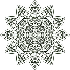 Beautiful flower art and mandala vector design