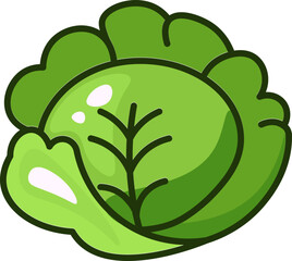 Cabbage - Fresh and Healthy Vegetable Colored Outline Icons