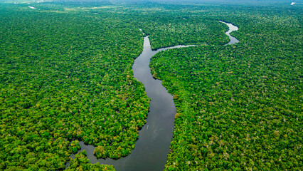 Aerial View of the Lush Amazon Rainforest with Meandering River in the Heart of the Amazon Basin