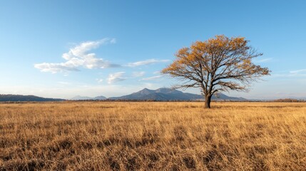 Fototapeta premium Autumnal field, lone tree, mountains, tranquil scene, perfect for nature or travel brochures