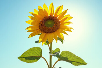 Fototapeta premium Radiant Sunflower Blooming Against a Clear Blue Sky, Golden Petals Glowing in Sunlight, Majestic Floral Beauty Symbolizing Happiness, Energy, and Positivity