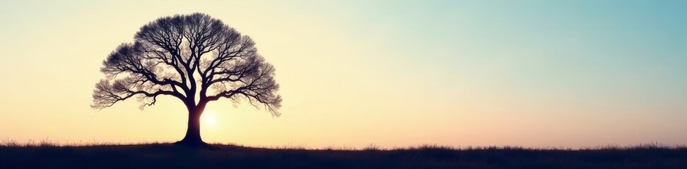A lone, imposing bare tree, its silhouette etched against a clear sky , scenery, sky