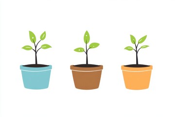 plant in a pot