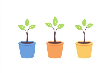 green plant in pot