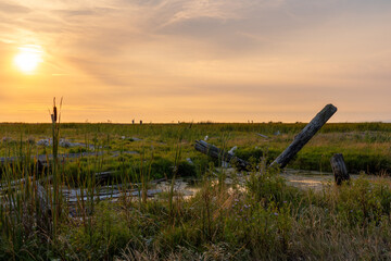 Beautiful sunset view at adjacent wetlands Grauer Lands Richmond British Columbia Canada