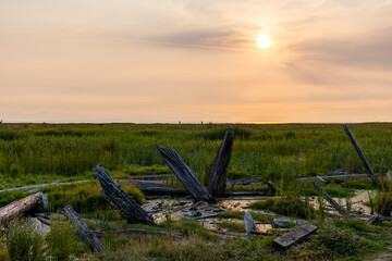 Beautiful sunset view at adjacent wetlands Grauer Lands Richmond British Columbia Canada