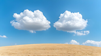 Fototapeta premium Two clouds over golden field, sunny day, landscape photography for websites