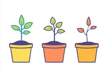 green plant in a pot