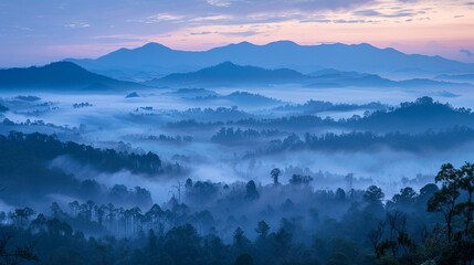 Landscape+Nature+Travel+Wildlife+Sunset+Cityscape+Portrait+Abstract+Architecture+Food+Technology+Business+Family+Health+Adventure