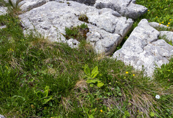 a sunny day, a nature park, a walk through the highlands and alpine expanses