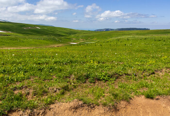 a sunny day, a nature park, a walk through the highlands and alpine expanses