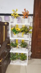 flowers on the table