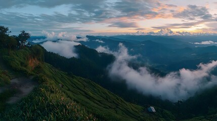 Viewpoint on the top of cameron highland tea