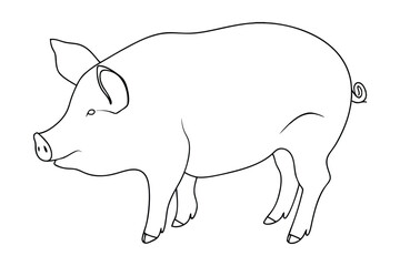 Simple Line Drawing of a Domestic Pig Illustration