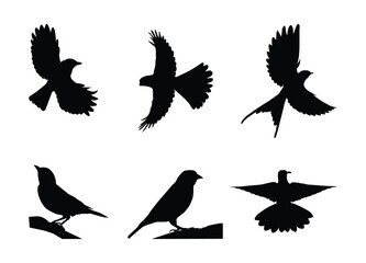 Bird clipart vector silhouette collection set, Bird symbol isolated vector outline  