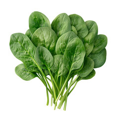 Fresh Green Spinach Leaves Bunch Healthy Food Raw Diet Leaf isolated on transparent background