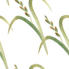 Textile seamless floral pattern with wild grasses and cereals. Design for kitchen home textiles, tablecloths, curtains, bed linen, dress fabrics, wrapping paper.