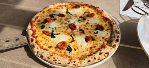 pizza with cheese