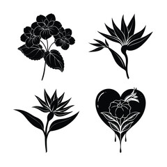 Obraz premium Elegant Blackberry Leaf Illustration Set for Botanical Design Projects