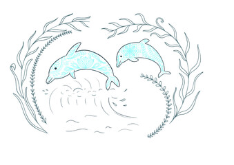 dolphins (no background)