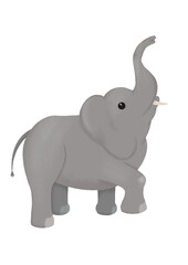 elephant (no background)