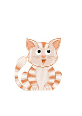 cat (no background)