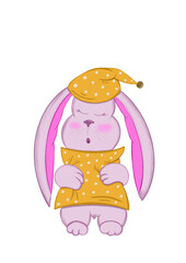 bunny (no background)