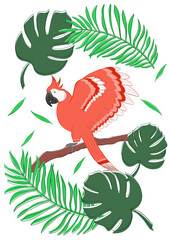 parrot (no background)