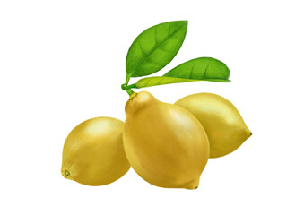 lemons (no background)