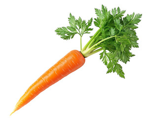 A vibrant orange carrot with lush green leaves still attached, freshly pulled from the soil,