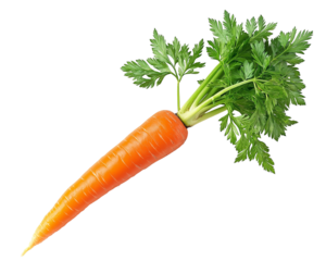 A vibrant orange carrot with lush green leaves still attached, freshly pulled from the soil,