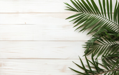 Green leaves of palm tree on white wood table
