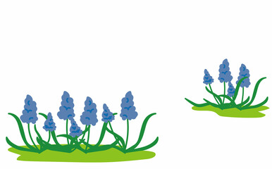 ムスカリの花の背景イラスト素材