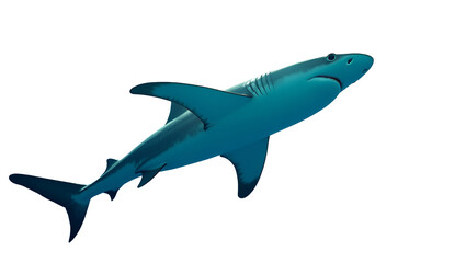 shark isolated on white transparent background png
