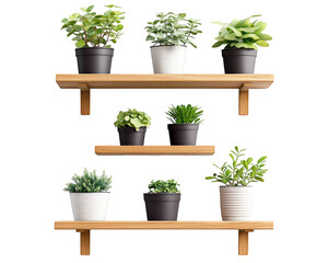 Fototapeta premium Indoor plants on modern wooden shelves create fresh and aesthetic atmosphere. arrangement features various green plants in stylish pots, enhancing decor