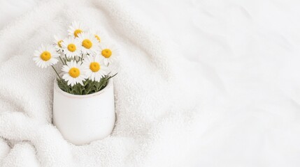 Adorable Potted Flowers in a Cozy Pastel Setting, A vase of daisies on a soft, white surface.