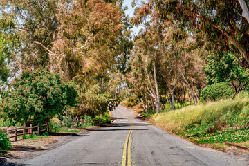 Streets and roads of Palos Verdes Estates, displaying clean neighborhood, community enhanced environment, lush landscape with ocean and countryside views