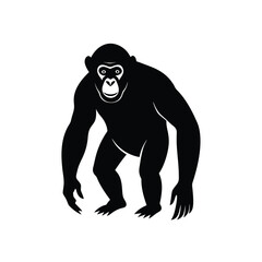 Chimpanzee Silhouette Vector Art Illustration and Minimalist Black Chimpanzee Design