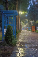 Green bench rain. High quality photo