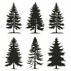 Obraz premium Set of pine tree silhouette vector clipart