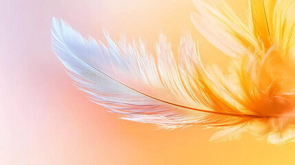 Naklejka premium Delicate feathers in soft hues of blue and orange are arranged against a gradient background ranging from light pink to pale orange.