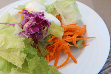 Mix of fresh vegetables (carrot, white and red cabbages and cucumber) in plate