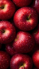 Freshly picked red apples covered in water droplets gleam